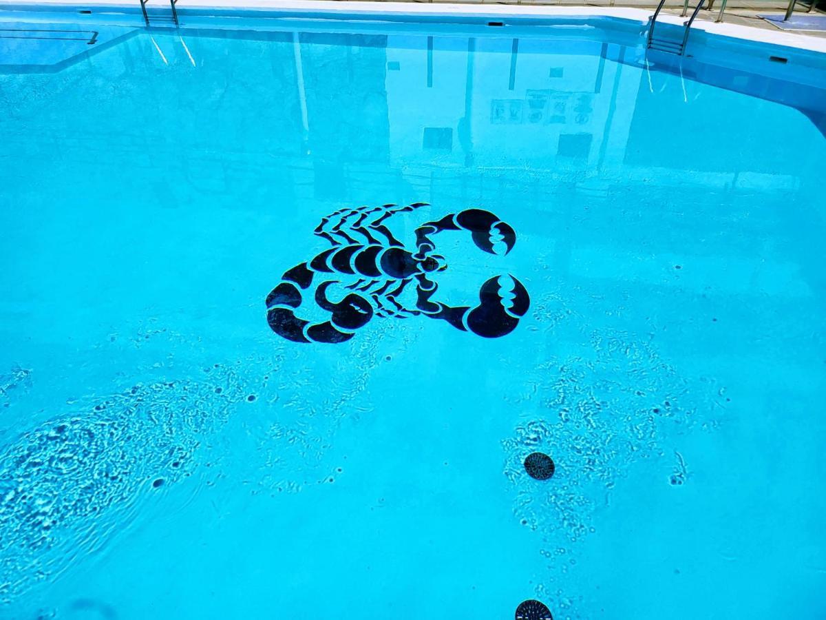 Cactus Apartment Puerto Rico  Dış mekan fotoğraf